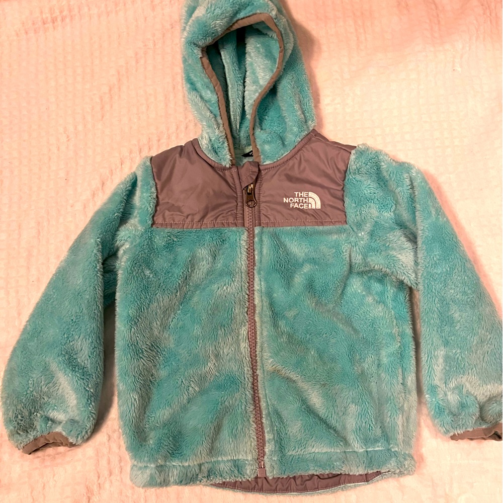 Toddlers north face